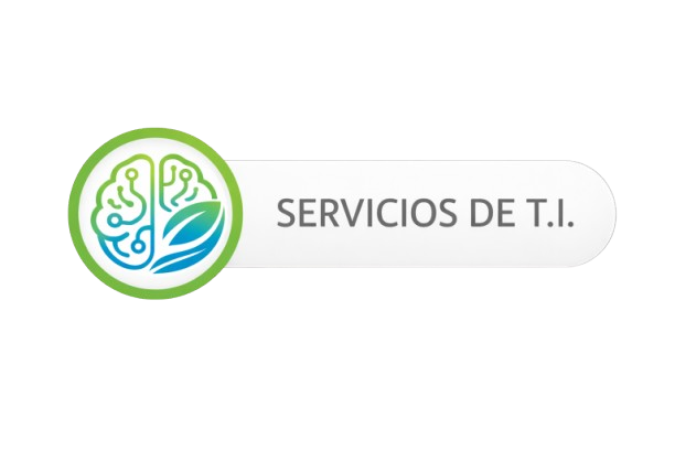 Sitio SERVICIOS DE T.I.